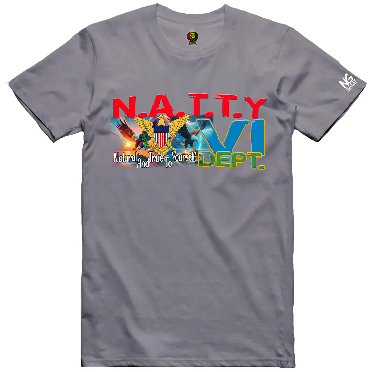 NATTY VI Dept T